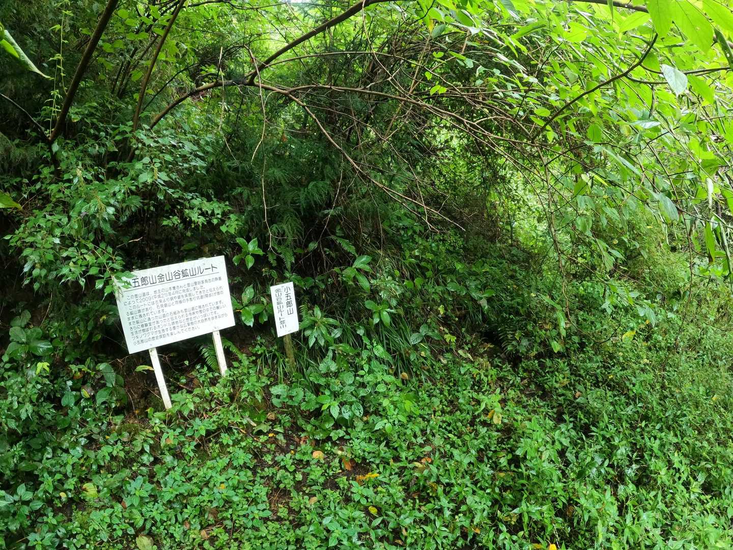 小五郎山・金山谷鉱山ルート登山口
「ここから一般道を通って駐車場へ😫」