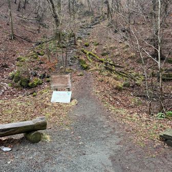 沢沿いの道が終わるとなかなかの急登