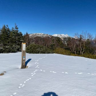 笹山頂上　　古い足跡のみ👣👣