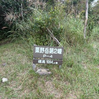栗野岳第２峰！🙌