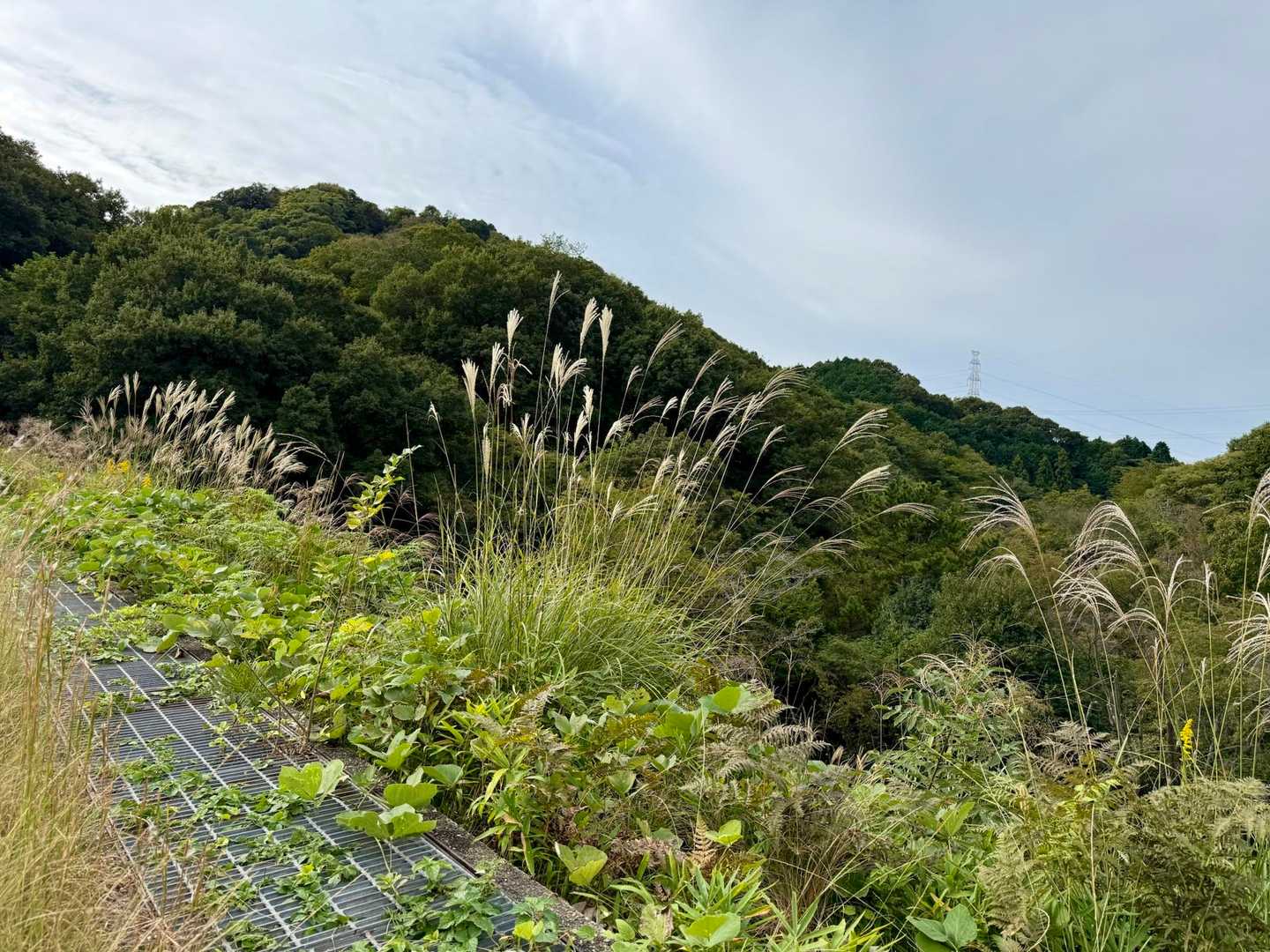 国見山登り口-交野山登り口-交野山 往復コースの写真