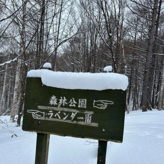 散歩には良き小さな山！