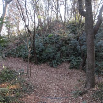 正面に鷺山山頂
さっきはここを右へ降りた