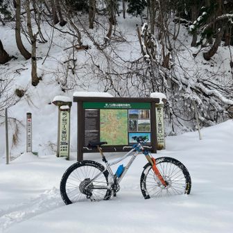 ここまで来ました全然乗れません