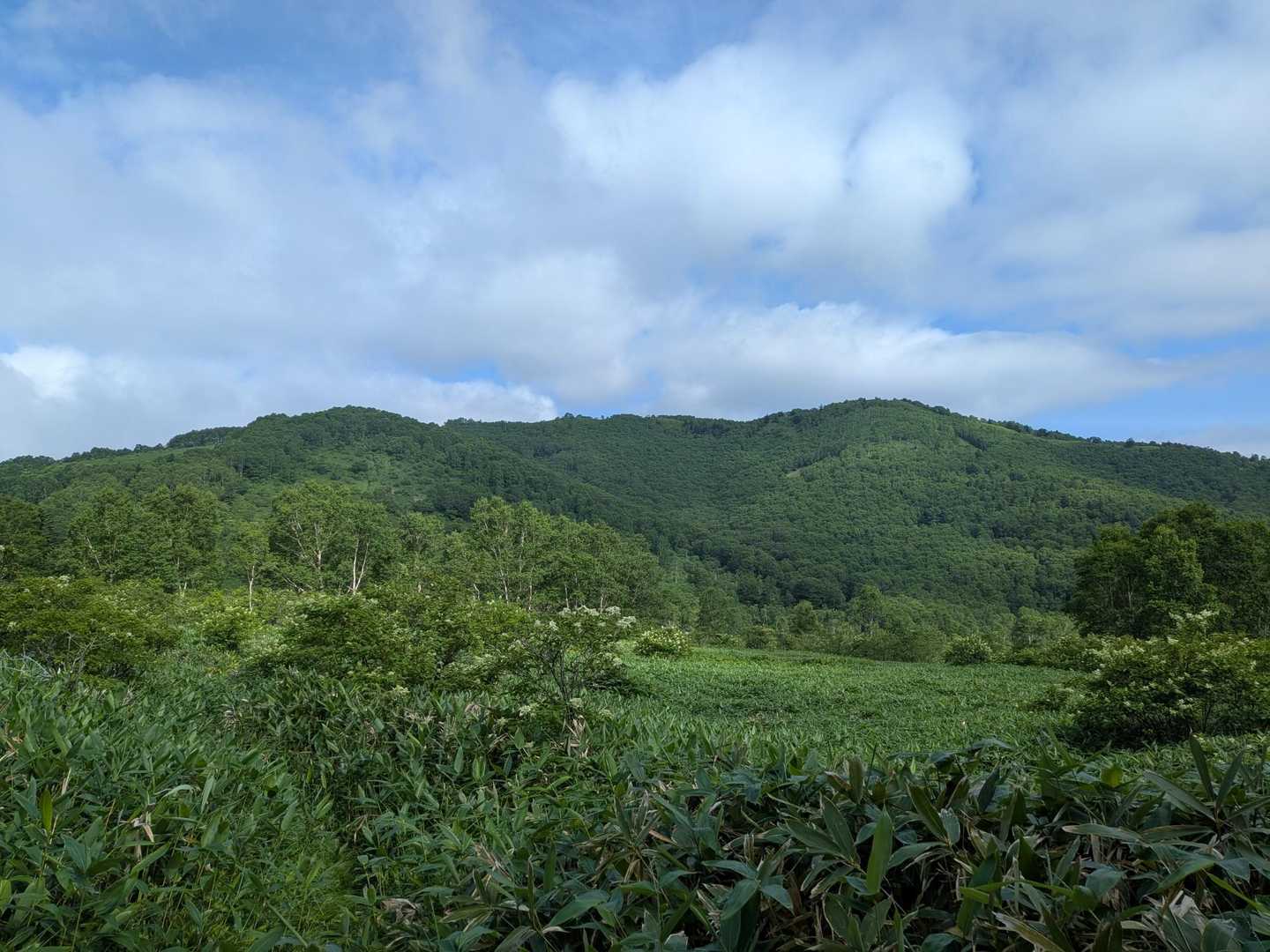 向かうエビ山
いい日になってきた