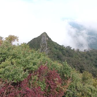 おさびし山（小矢筈）