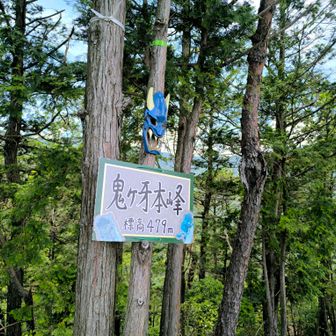 前あったっけ？
って話してたら、最近？付けてもらったらしい〜。
東峰からみえてたのは、これね〇