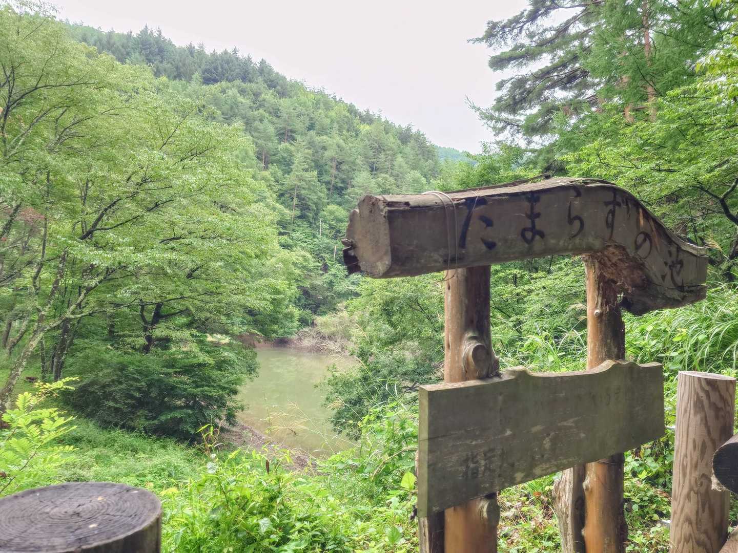 たまらずの池
水位がかなり下がり、木々に覆われて鬱蒼とした雰囲気💦