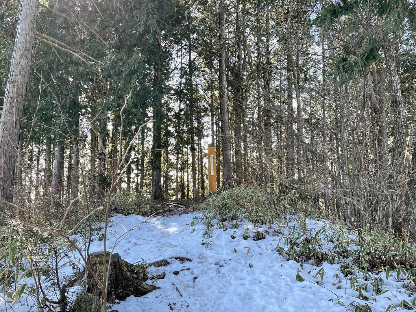 一部雪が残っていましたが、ほとんど気にならないレベル。