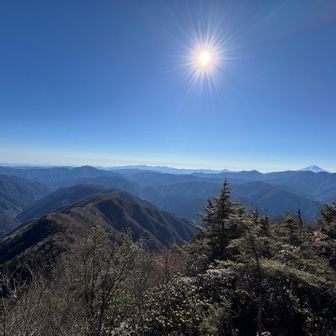 太陽すてき☀️
iPhone撮影だけど