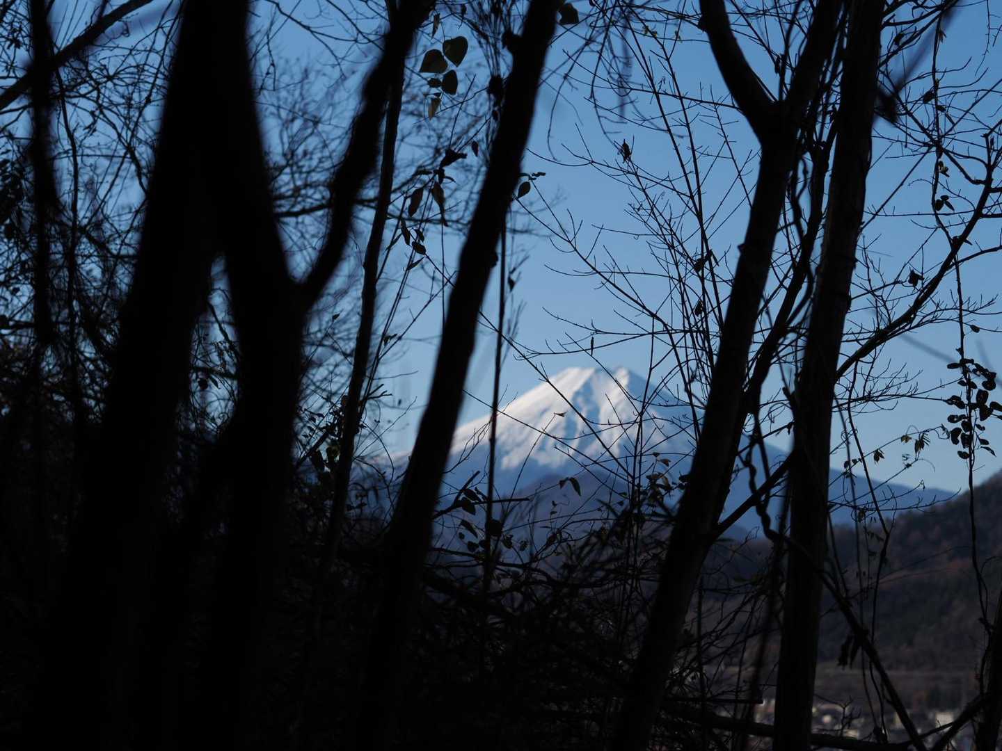 見えて来ました