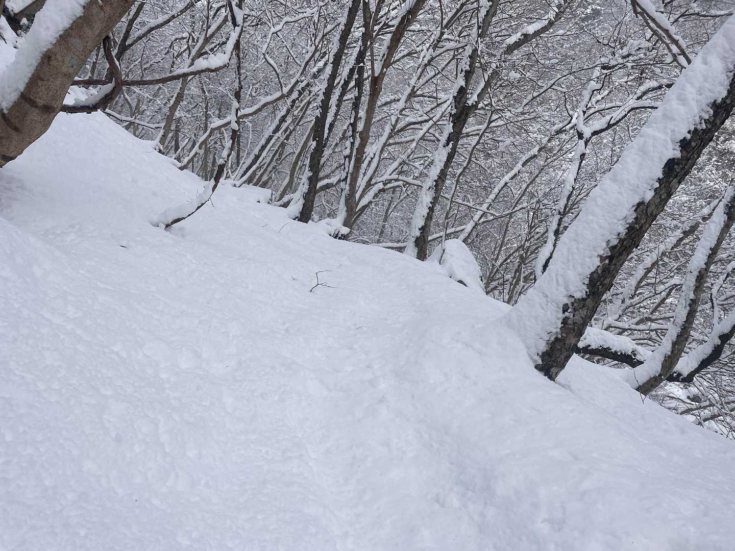 ラッセル そんなに したくない🤣

そんなつもりは無かったのに
一番手でスタートしてます🫢
