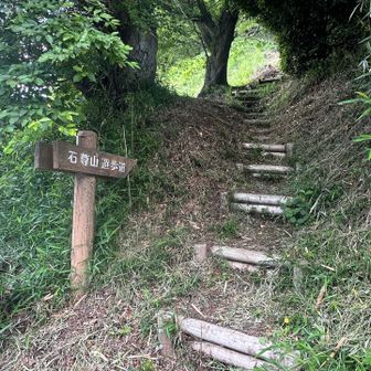 ここからも直登可能🉑