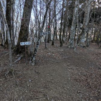 はっきり言います！！苦労しました!！
なのに眺望がないで・す・YO〜
あい とぅいまてぇ〜ん🤣