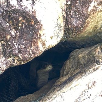 魔女の宅急便ごっこ・・

「落ち込んだりもしたけれど
私は元気です」