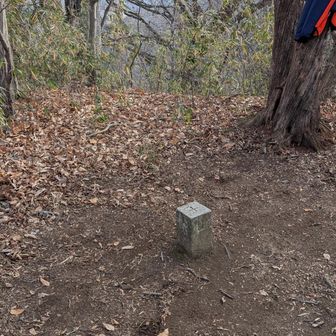 月居山頂の三角点