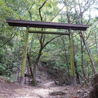 下山の途中には鳥居もあります