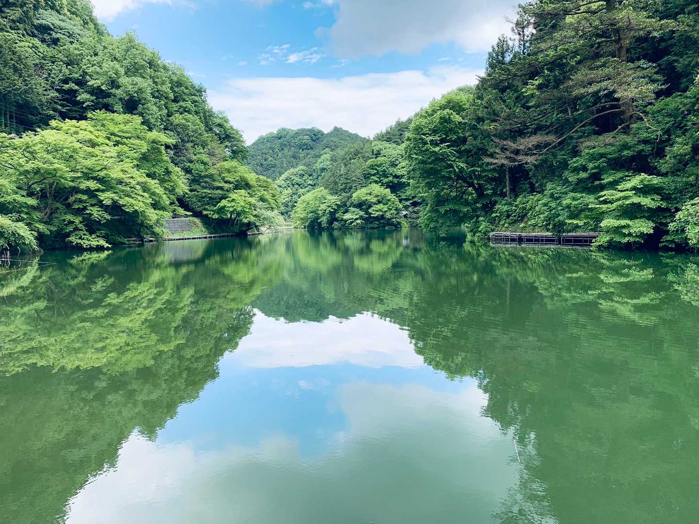 スカリ山-エビガ坂 周回コースの写真