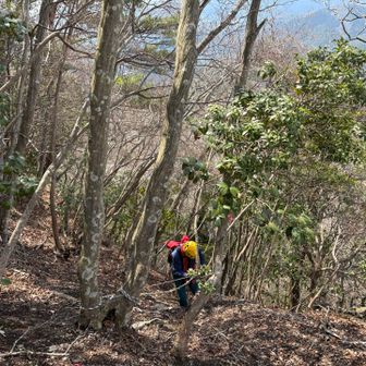 核心部を越えてからは急登には丈夫なロープあり👌