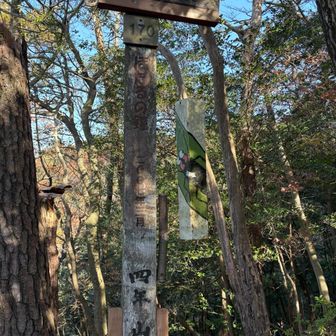 かわいいカネ 鳴らしながら🔔✨️
🚶‍♀️⭐️🍄✨️