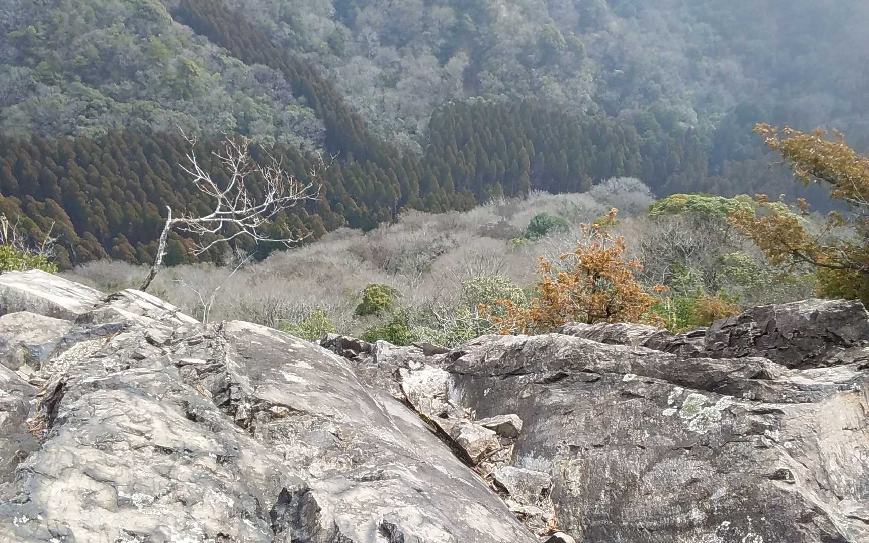 右側こんなんです。