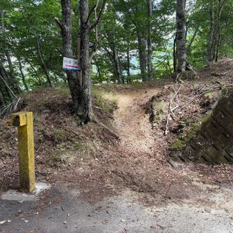 ロードを横切ります