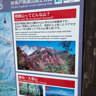 帰りはサクサク