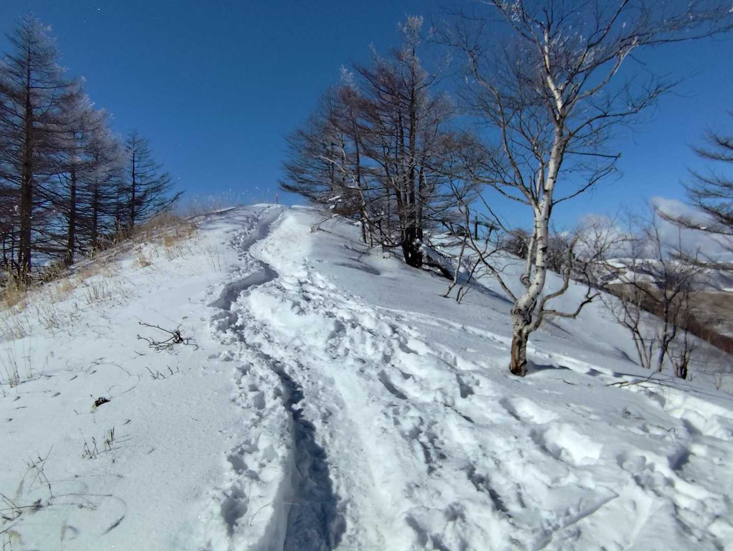 この先が西峰です😙