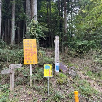 山道はここで終わり。