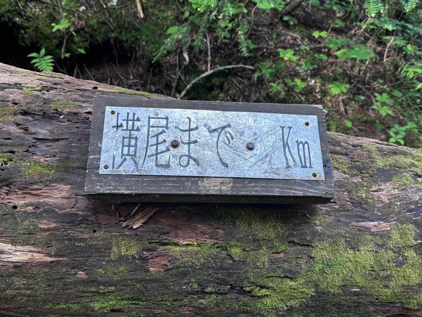 大事なところが🫥💦