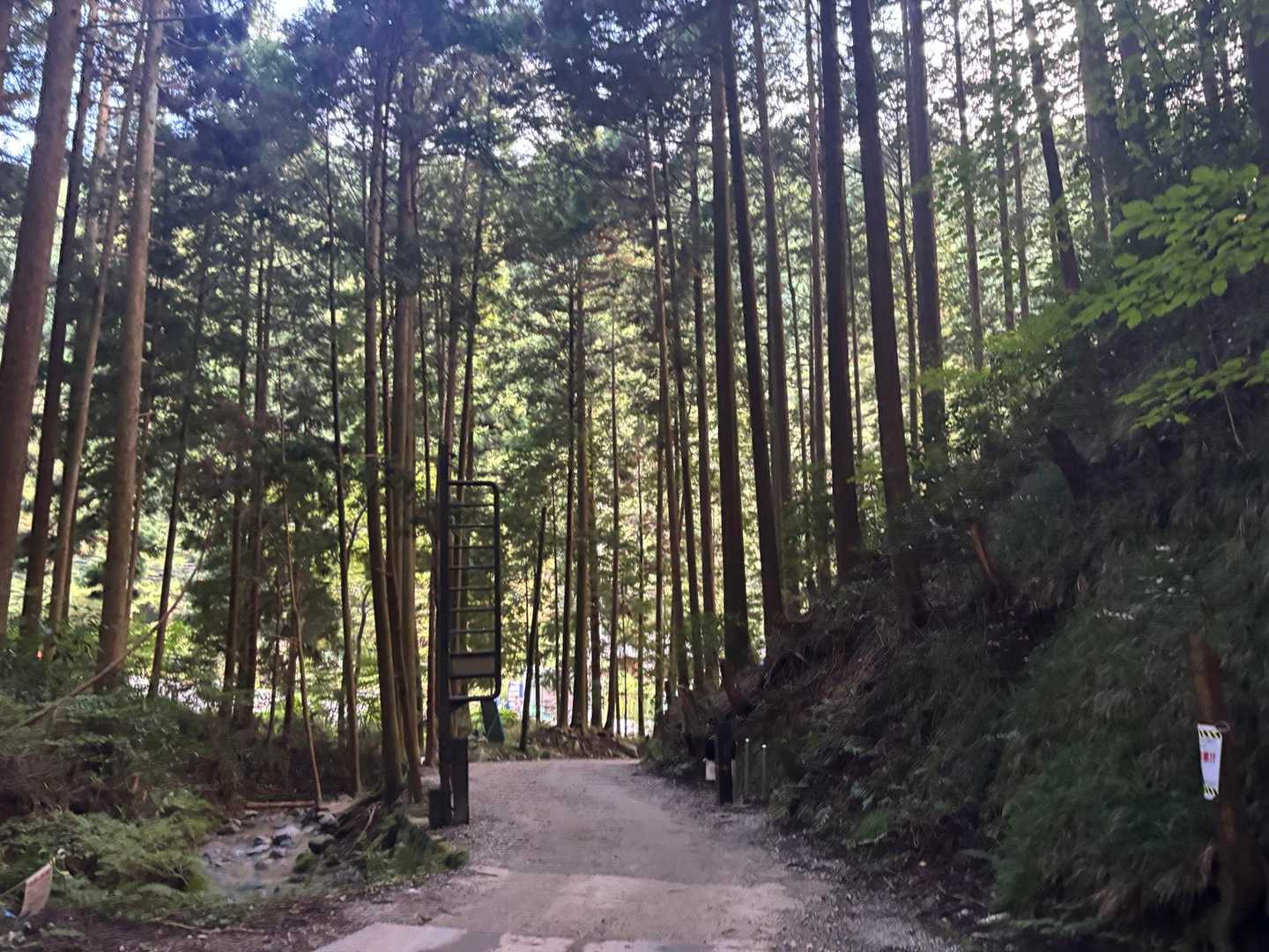 2人共、無事に下山できました。
鳥🐧がいなくて、餌やり出来ませんでしたが、楽しかったみたいです😁