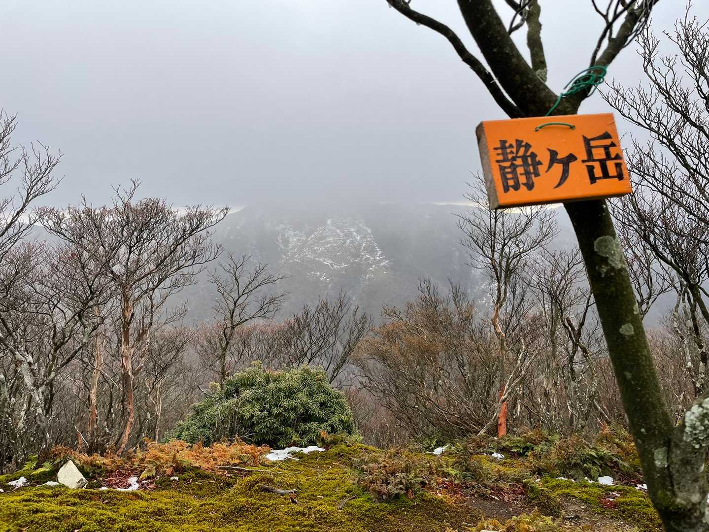 静ヶ岳山頂に到着🚩
ガスって竜ヶ岳は見えず👀