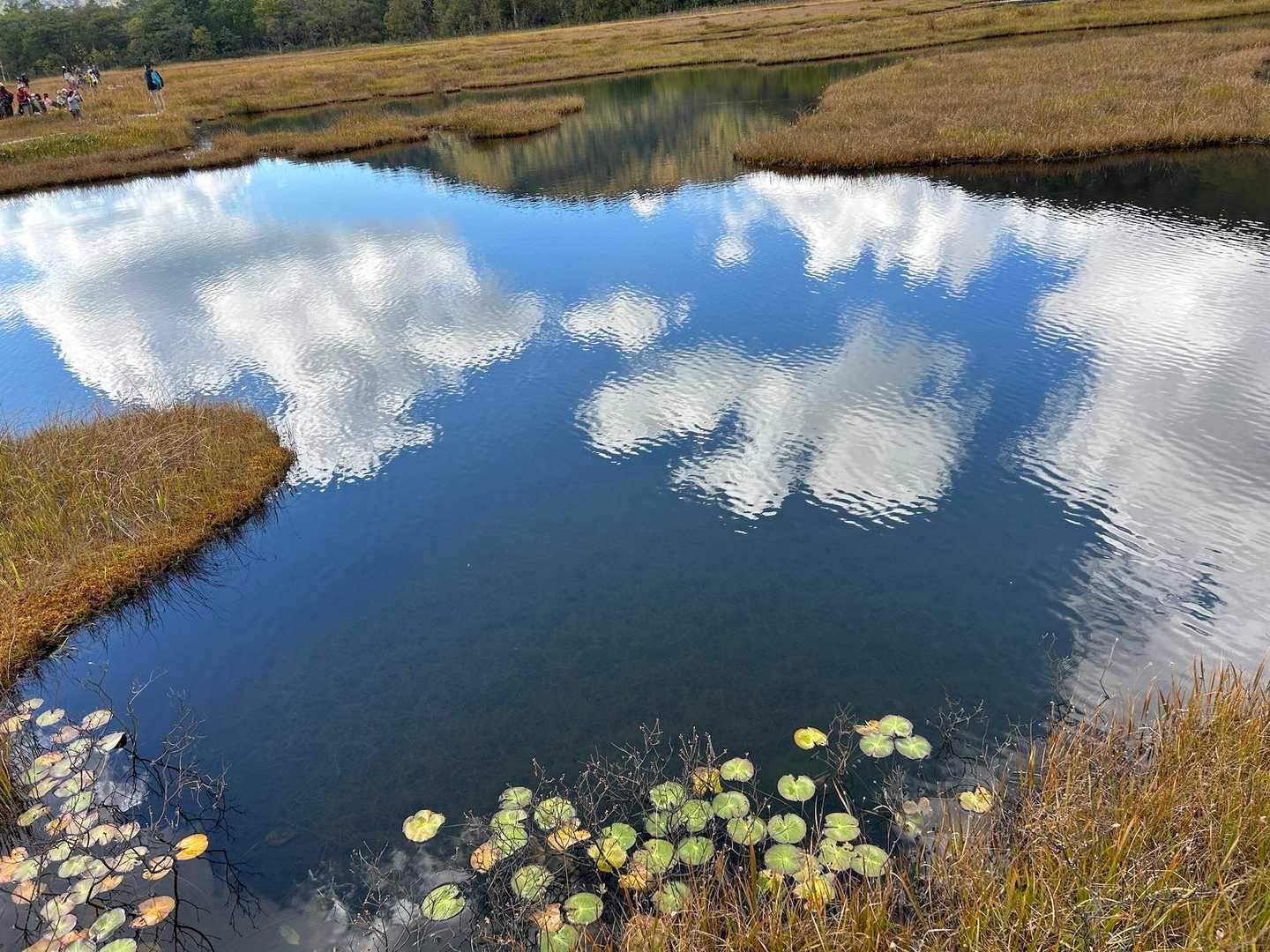 池塘と青空 その2