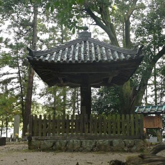 傘堂