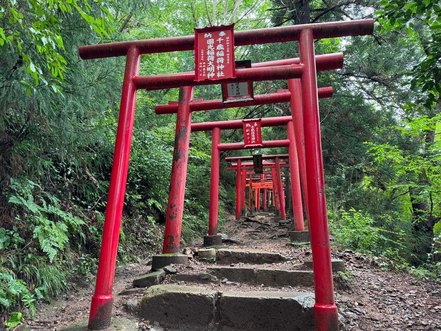 千歳山稲荷神社参道口-千歳稲荷神社-千歳山 往復コースの写真