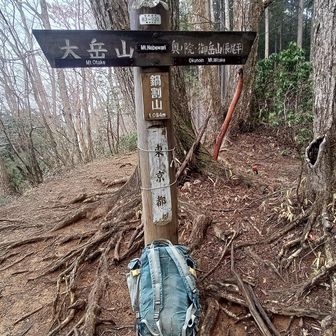鍋割山の山頂