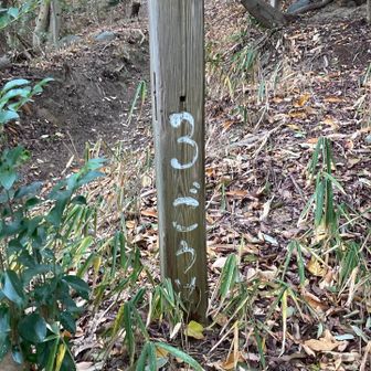 帰りに3ごうめだけ見つけた。でも4ごうめは無かった😅
うどん県のお山の時は、もちろんうどん屋さんに寄りますよ〜😋次のレポでお楽しみ😊