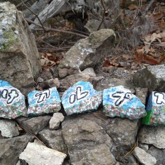 わけ ア ル プ ス🪨
可愛らしいワロックです🩵