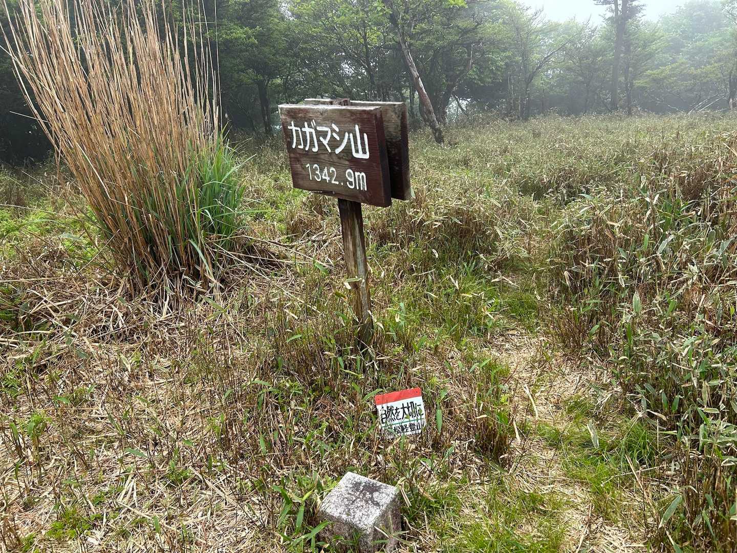 橡尾峠-カガマシ山-橡尾山 周回コースの写真