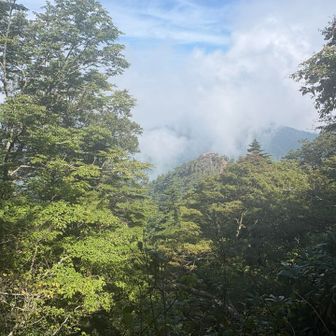 遠くに見えるあそこは👆✨