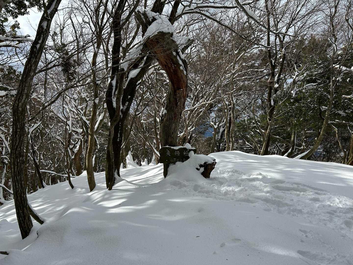 倉見登山口-三十三間山 往復コースの写真