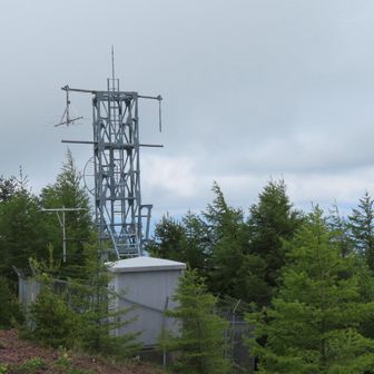 上田ケーブルテレビ。なぜにヤギアンテナ？
