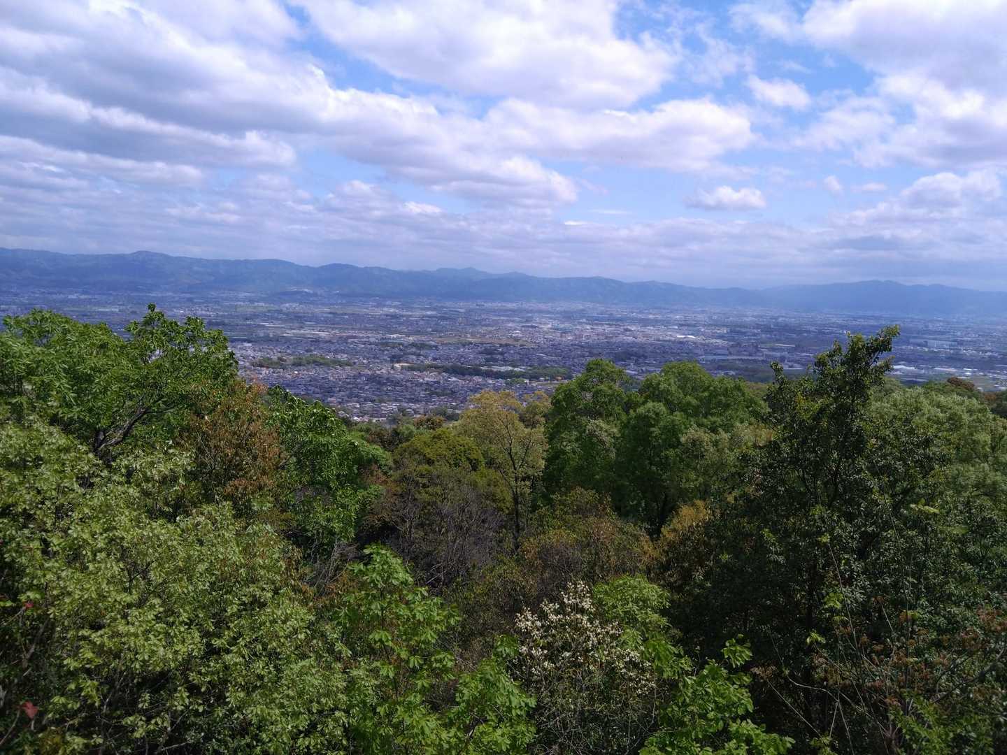 途中の展望所から。
三輪さん龍王山、鳥見山や音羽三山が正面に見えていました。
雲の様子も楽しげで、眼科に広がる郡山の街は、緑と農地と色とりどりの屋根がすごくきれいでした。