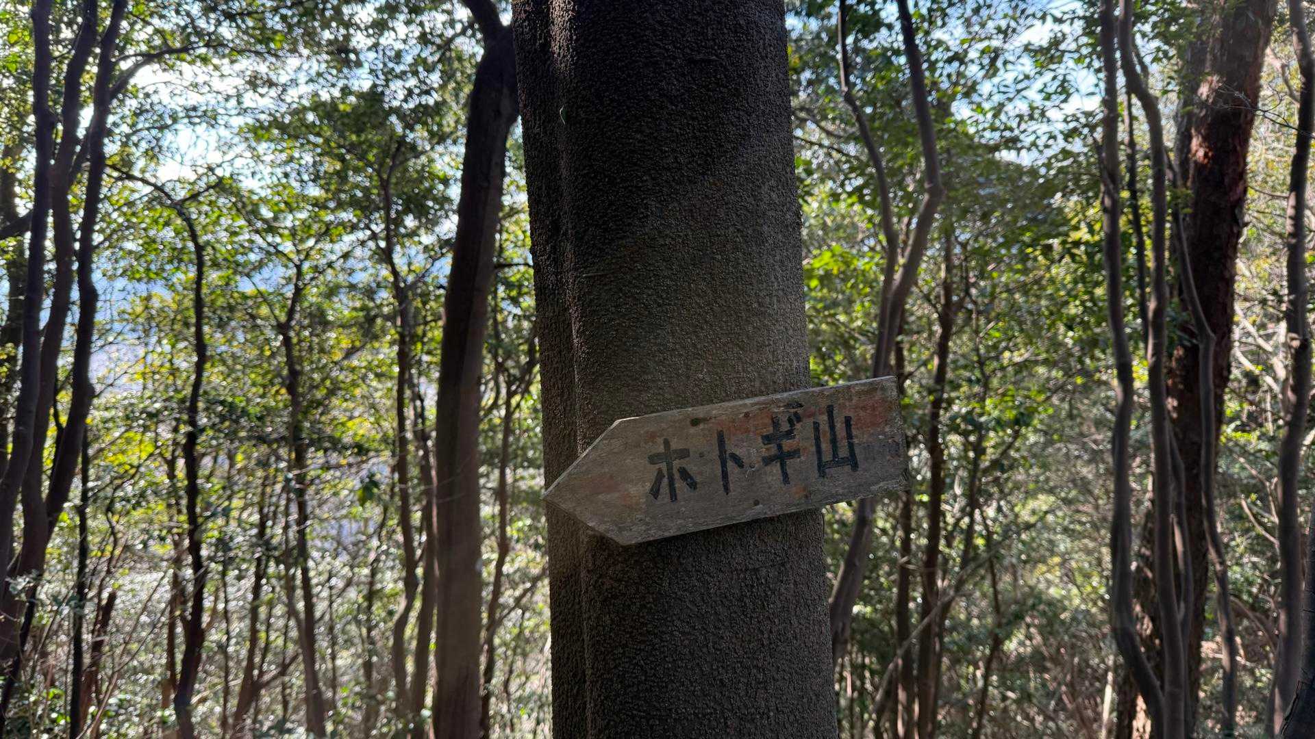 御所ヶ岳 ほとぎ山へ