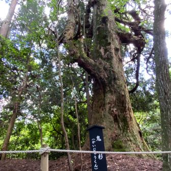 かいじゅうくん
3本の行者杉を見ながら、ウルトラマンを思い浮かべてしまった🤣