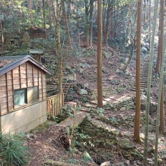 スギ、ヒノキ林の中に小屋🛖ここをまっすぐ階段を登る🚶
