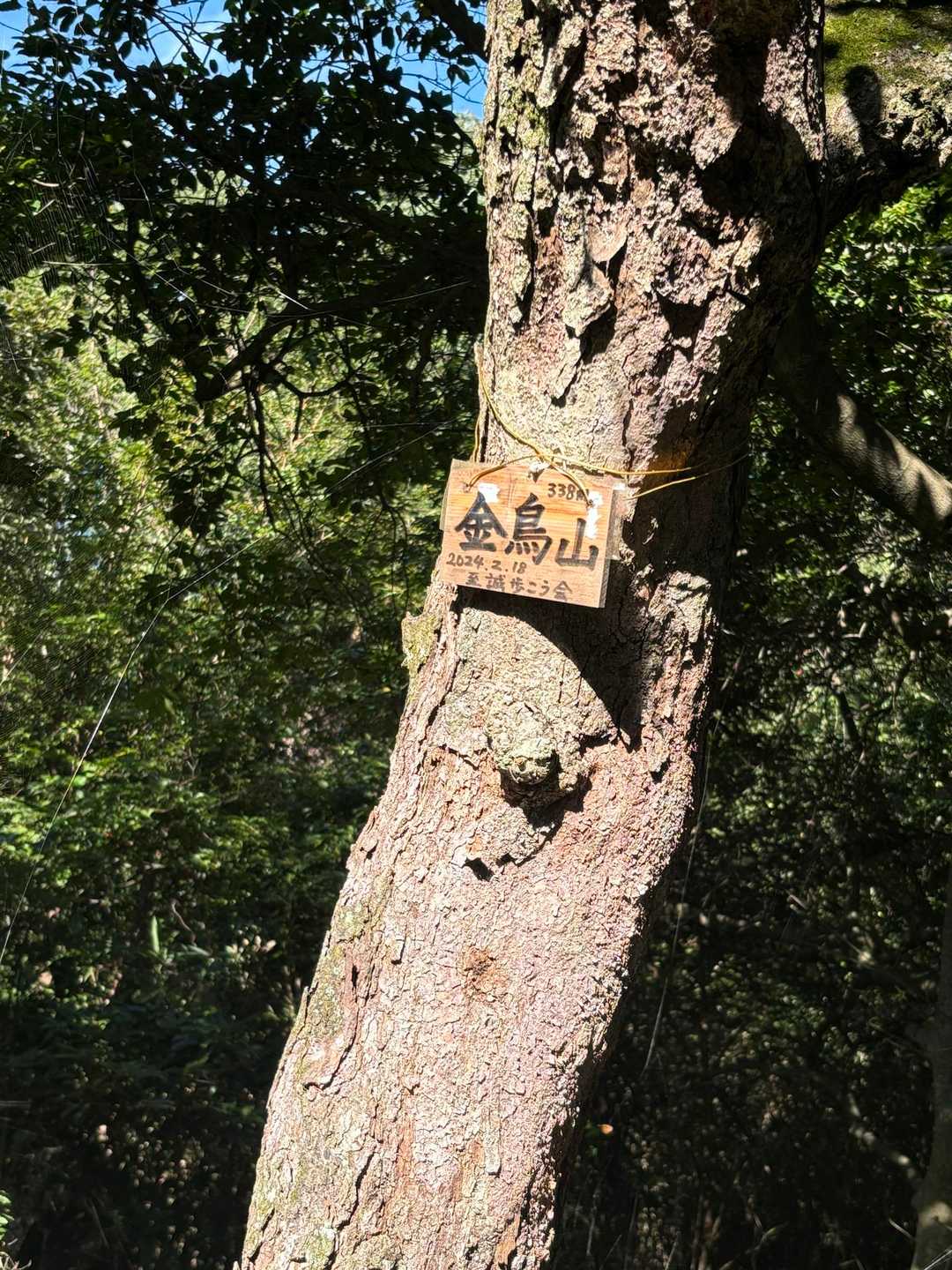 保久良神社⛩️経由で下山