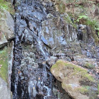 楼門の滝

写真でなかなか上手く表せませんが、黒光りする岩肌を水が流れ落ちています
細いつららができてます