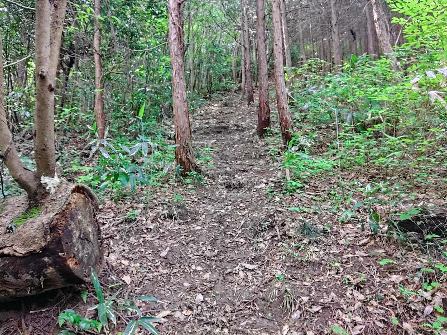 ひたすら登ります🧗‍♀️