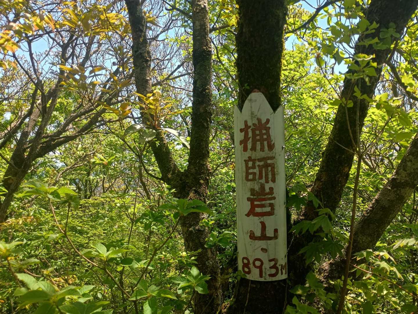 猟師岩山⛰️山頂